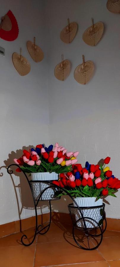 Kanina Hotel&Hostel Saranda Dış mekan fotoğraf
